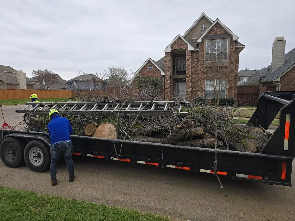 Expert Lot Clearing with proper safety equipment in West Orange